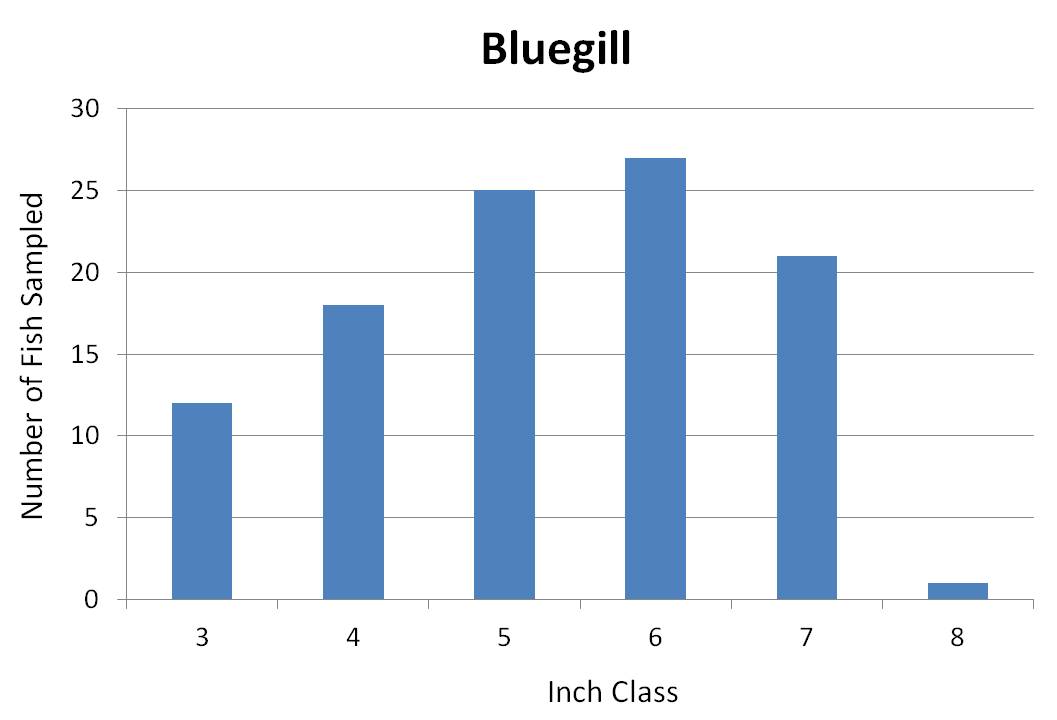 Bluegill Growth Rate Chart